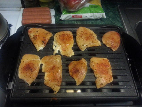 Zojirushi EB-CC15 Indoor Electric Grill customer photo 1