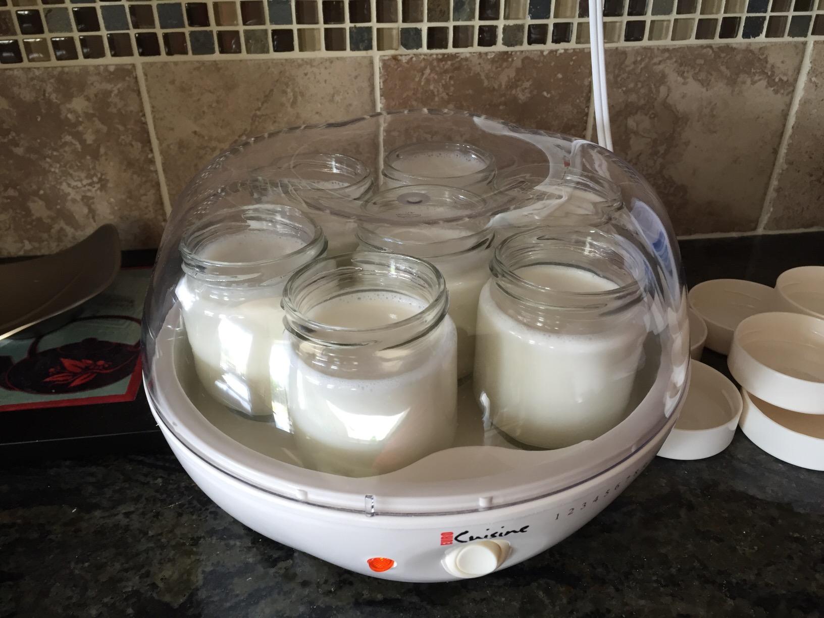 Euro Cuisine YM80 Electric Yogurt Maker Machine- Promote Gut Health with Probiotic Rich Homemade Yogurt -Home Yogurt Incubator with Glass Jars, White customer photo 1