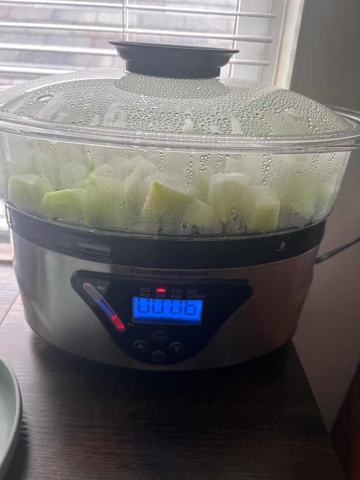 Hamilton Beach Digital Electric Food Steamer & Rice Cooker for Quick, Healthy Cooking, Stackable Two-Tier Bowls, 5.5 Quart, Black & Stainless Steel customer photo 1