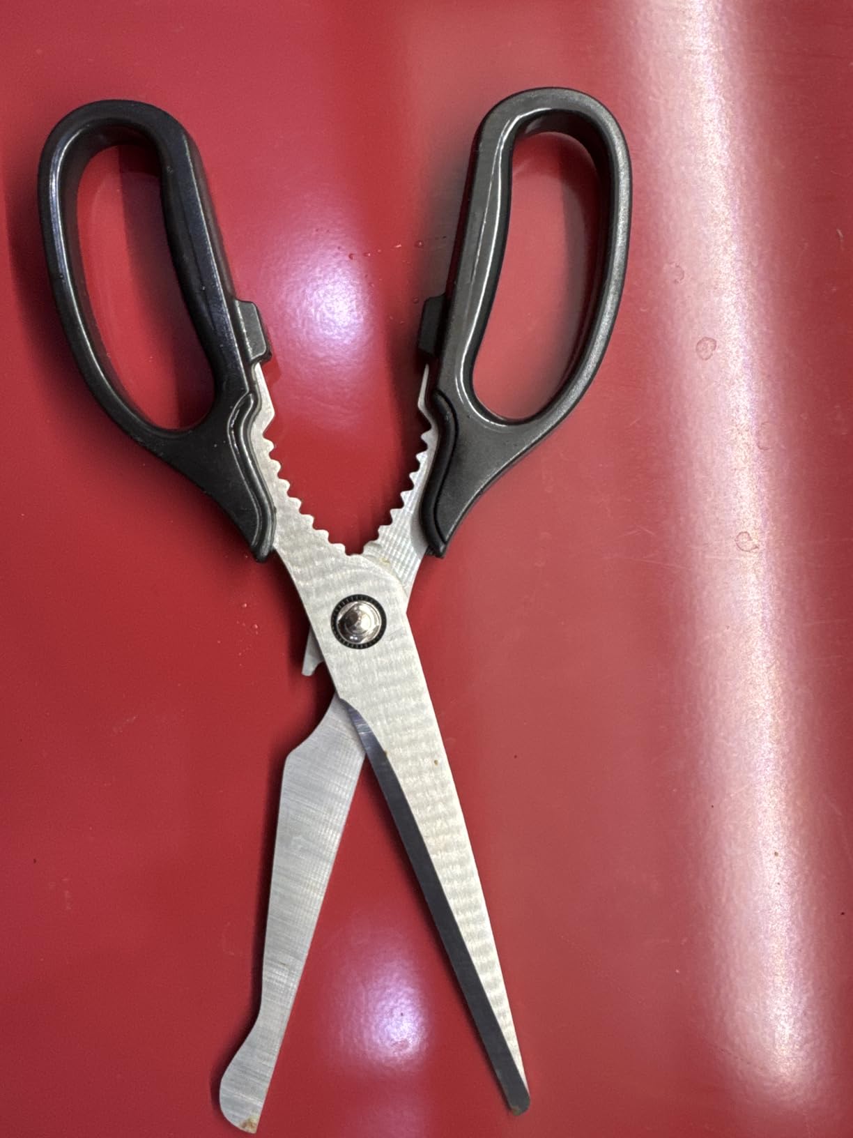 Korean BBQ Kalbi Meat Cutting Scissors Large All Purpose Stainless Steel Utility Kitchen Shears for Food customer photo 2