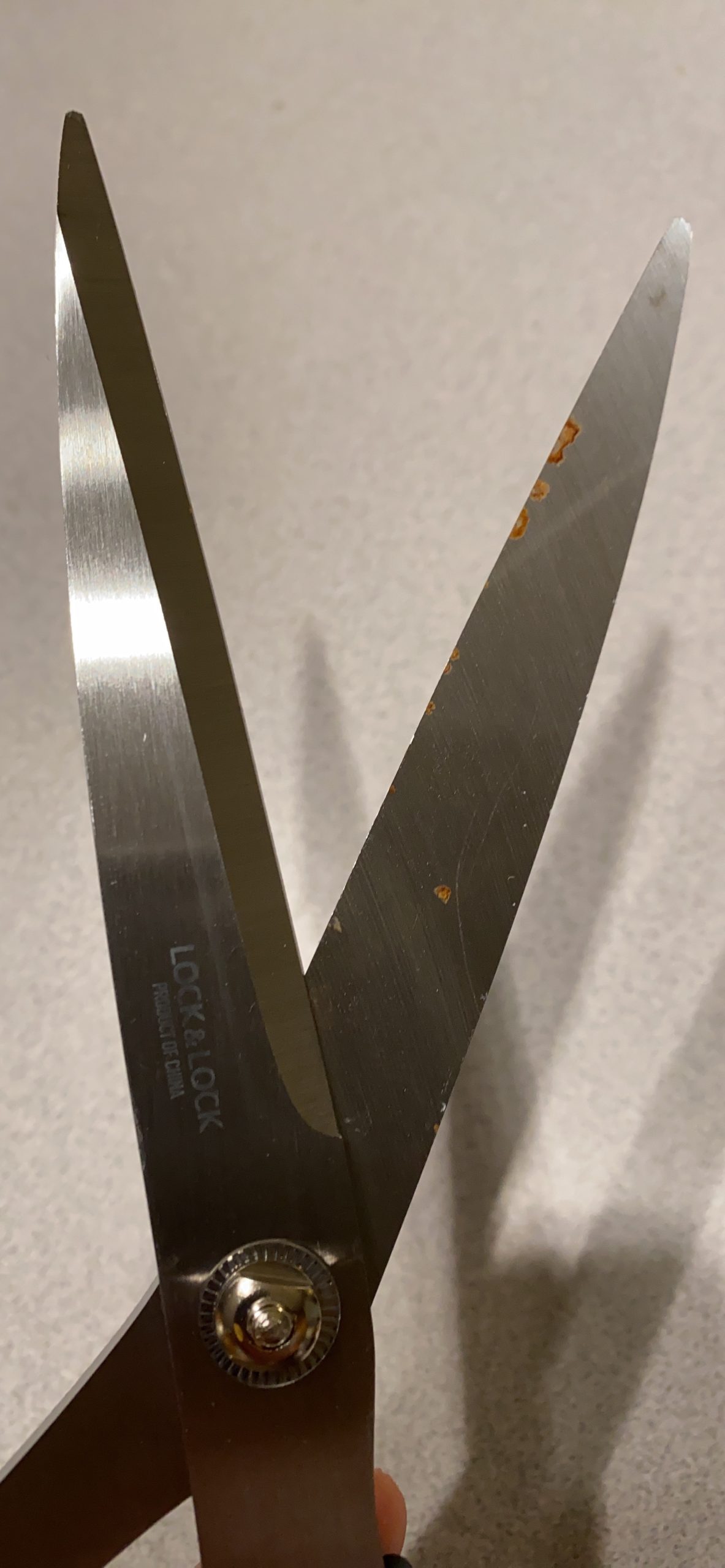 Lock&Lock Premium Korean BBQ Bulgogi Kalbi Stainless Steel (420J2) Scissors - Meat Cutting Shears 10.2 Inch customer photo 1