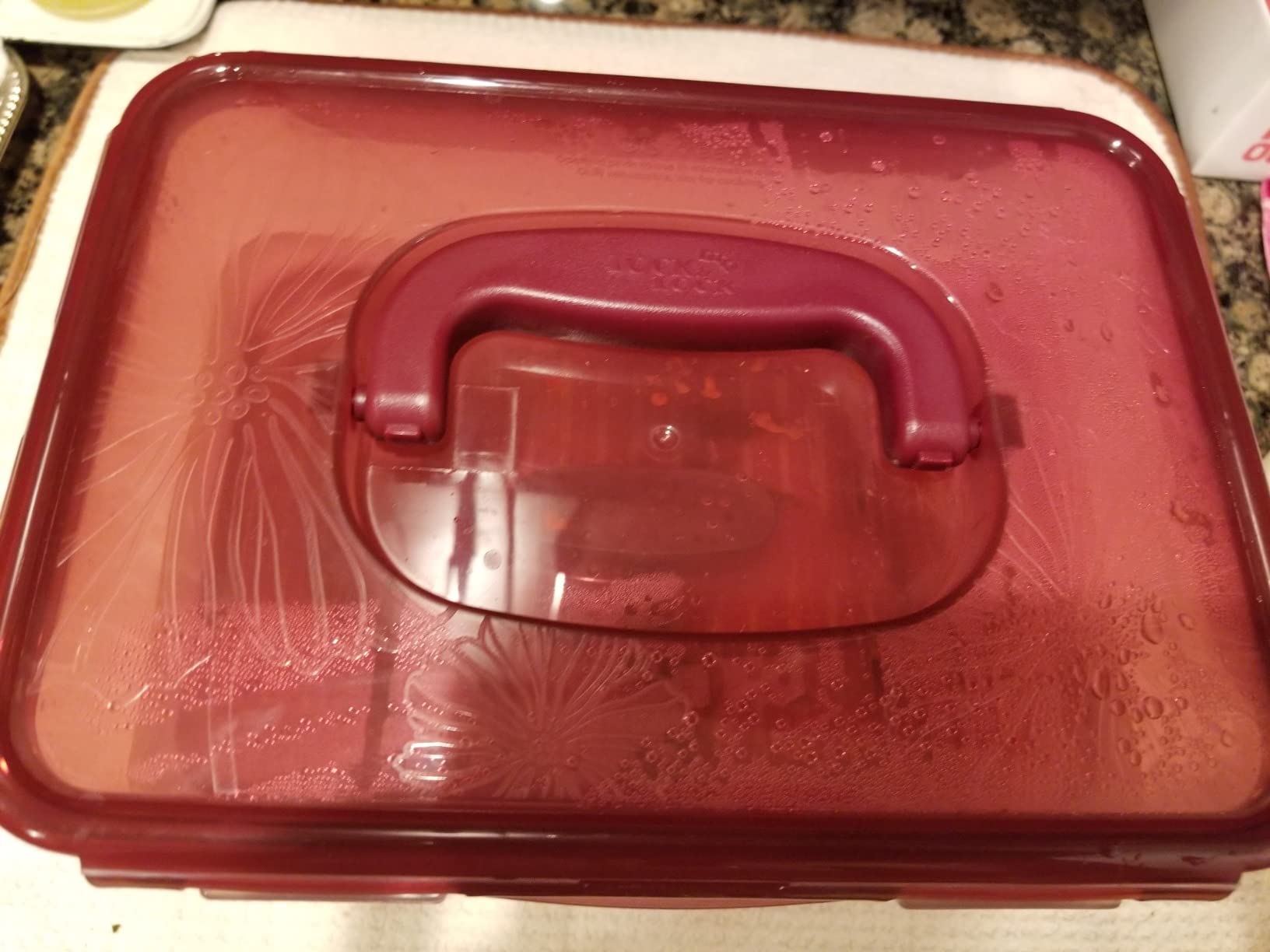 LockandLock Press Plate Leakproof Airtight Pickle Kimchi Container 4.5L / 152oz BPA Free One Handle Clear Body Maintain Fresher Taste customer photo 1