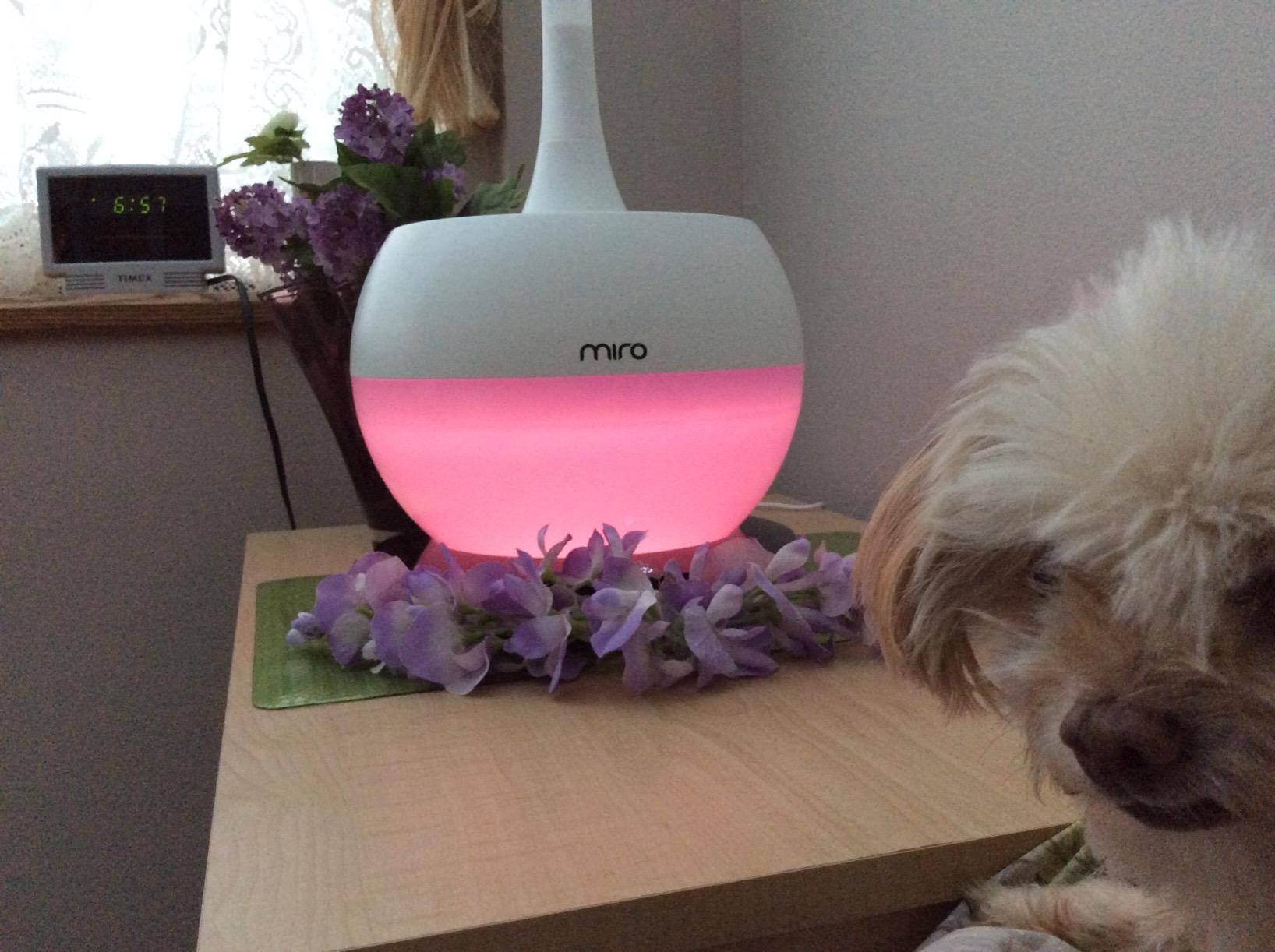 Miro NR08M Completely Washable Modular Sanitary Humidifier, Large room, Easy to Clean, Easy to Use, Luma Touch - Premium Cool-Mist Humidifier. Touch Control Colorful LEDs, Powerful humidification customer photo 2