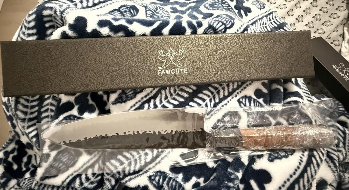 FAMCÜTE 8 Inch Japanese Knife, Hand Forged 5 Layers High Carbon 9CR18MOV Steel Rosewood Handle Chef Knife, Ultra Sharp Durable Professional Kitchen Knife, A Thoughtful Father Day Gifts for Men customer photo 1