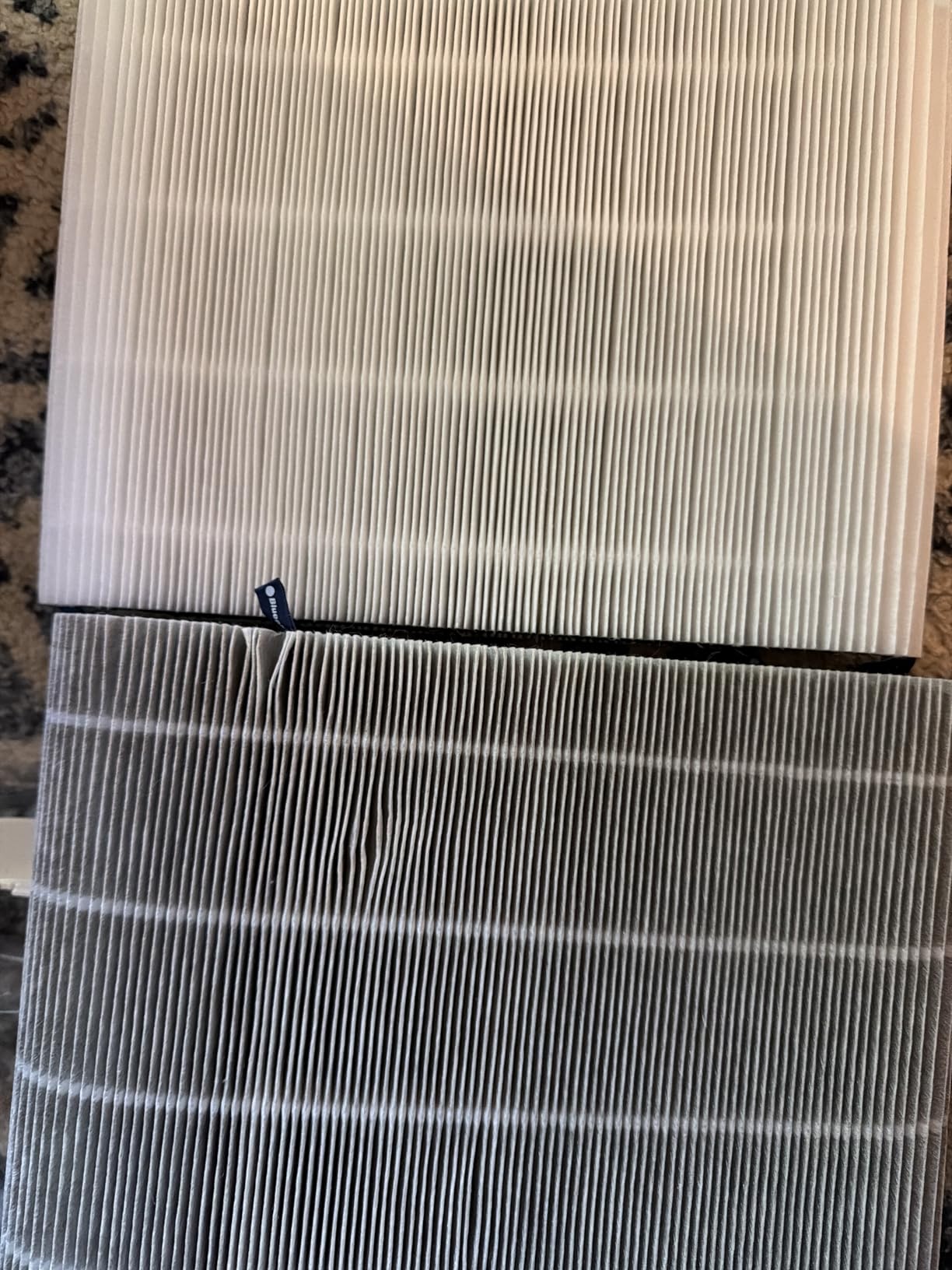 BLUEAIR Air Purifier for Home HEPA, HEPASilent Technology, Small Rooms 432 sq ft coverage, Blue Pure 511 customer photo 1