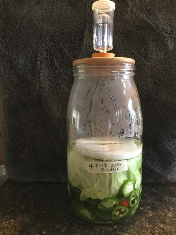 Kilner 5 Litre Fermentation Set customer photo 2