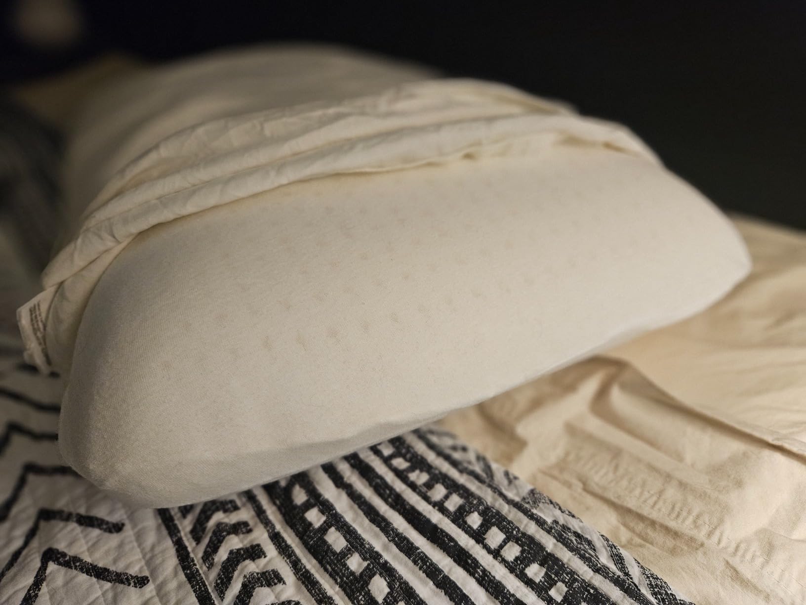 JOTOM 100% Natural Talalay Latex Pillow Sleeping Bed Pillow - Luxury Queen Pillow for Side, Back, and Stomach Sleepers - Removable Breathable Cotton Cover (Queen, Medium 6.2