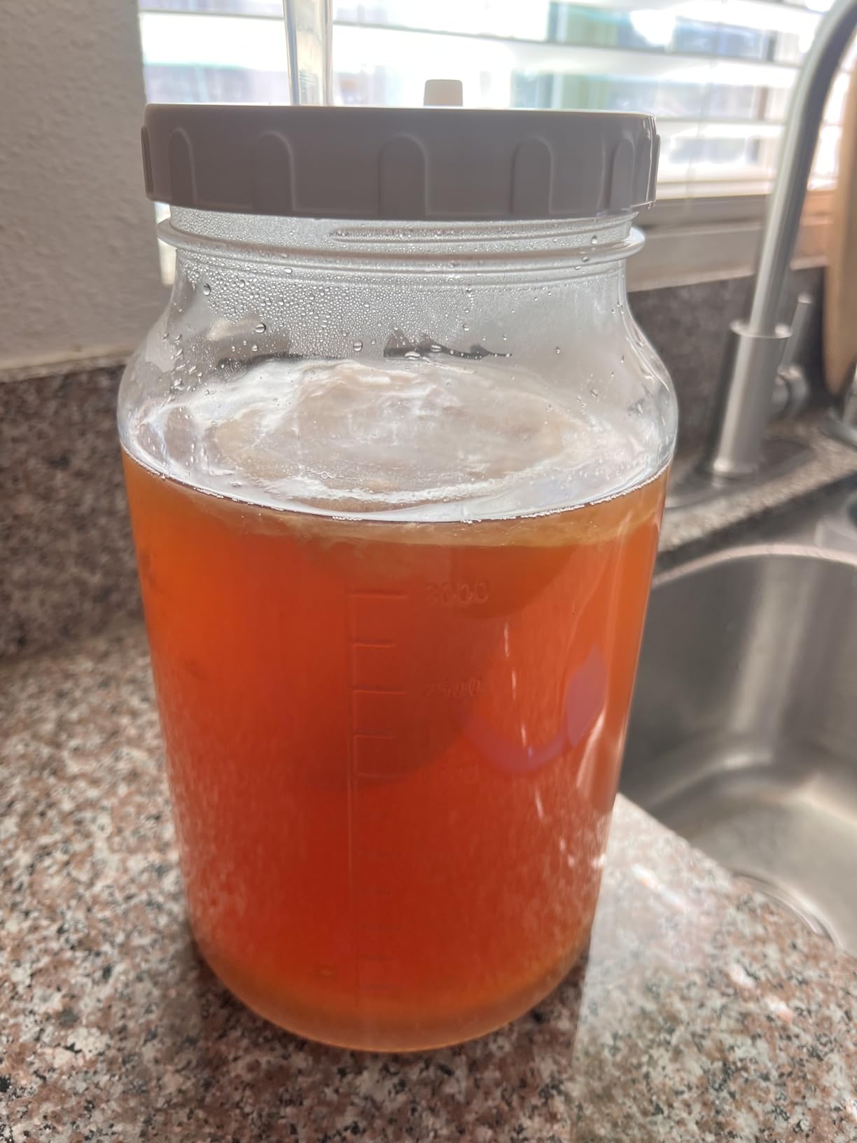 2 Pack 1 Gallon Large Fermentation Jars with 3 Airlocks and 2 SCREW Lids (100% Airtight Heavy Duty Lid w Silicone) - Wide Mouth Glass Jars w Scale Mark - Pickle Jars for Sauerkraut, Sourdough Starter customer photo 2