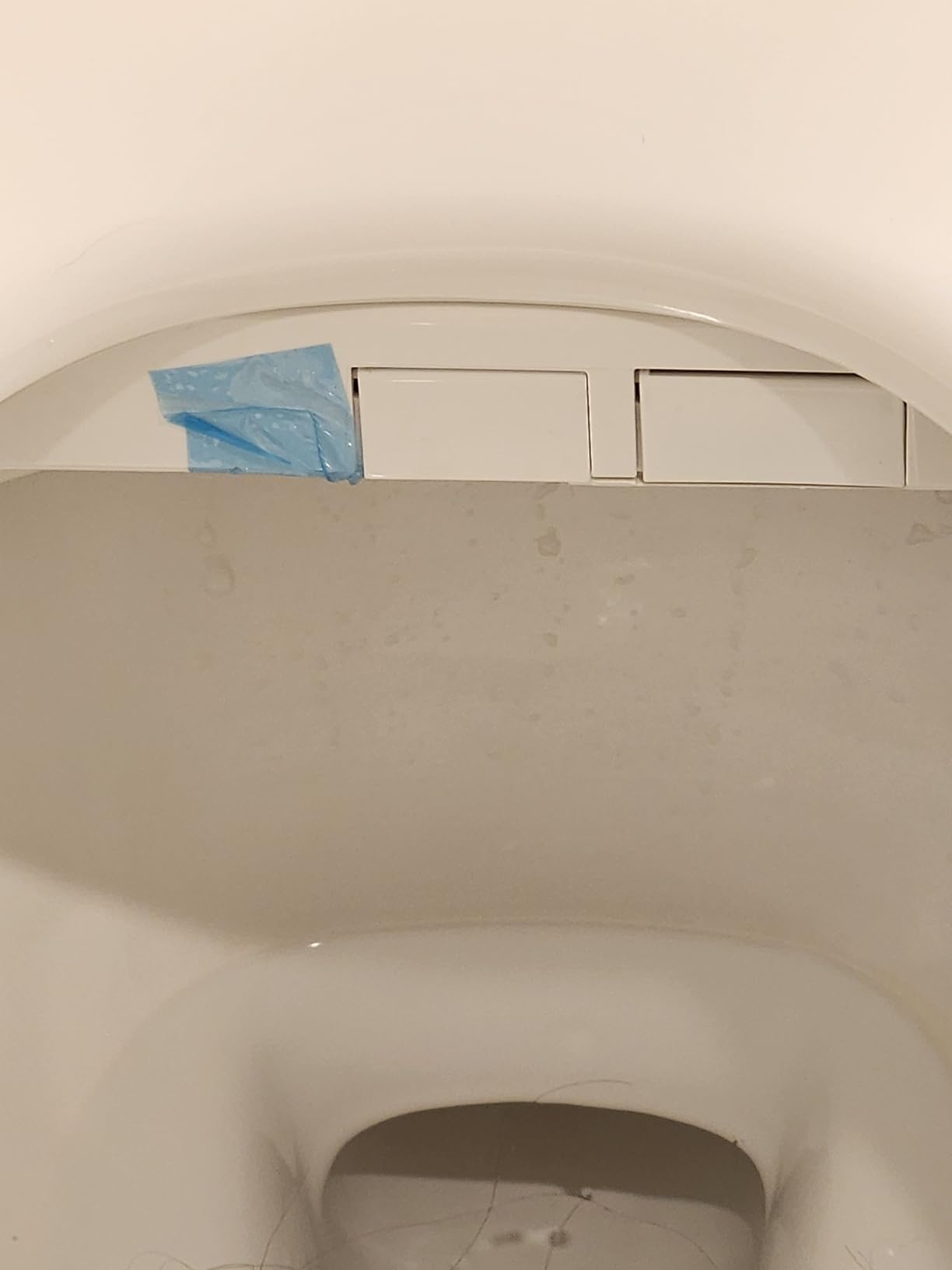 iliD Bidet Seat, Electric Elongated Ecoseat with Four Cleaning Modes, Adjustable Angle and Pressure, Remote Control, Slow Close Lid, 2 Year Warranty customer photo 1