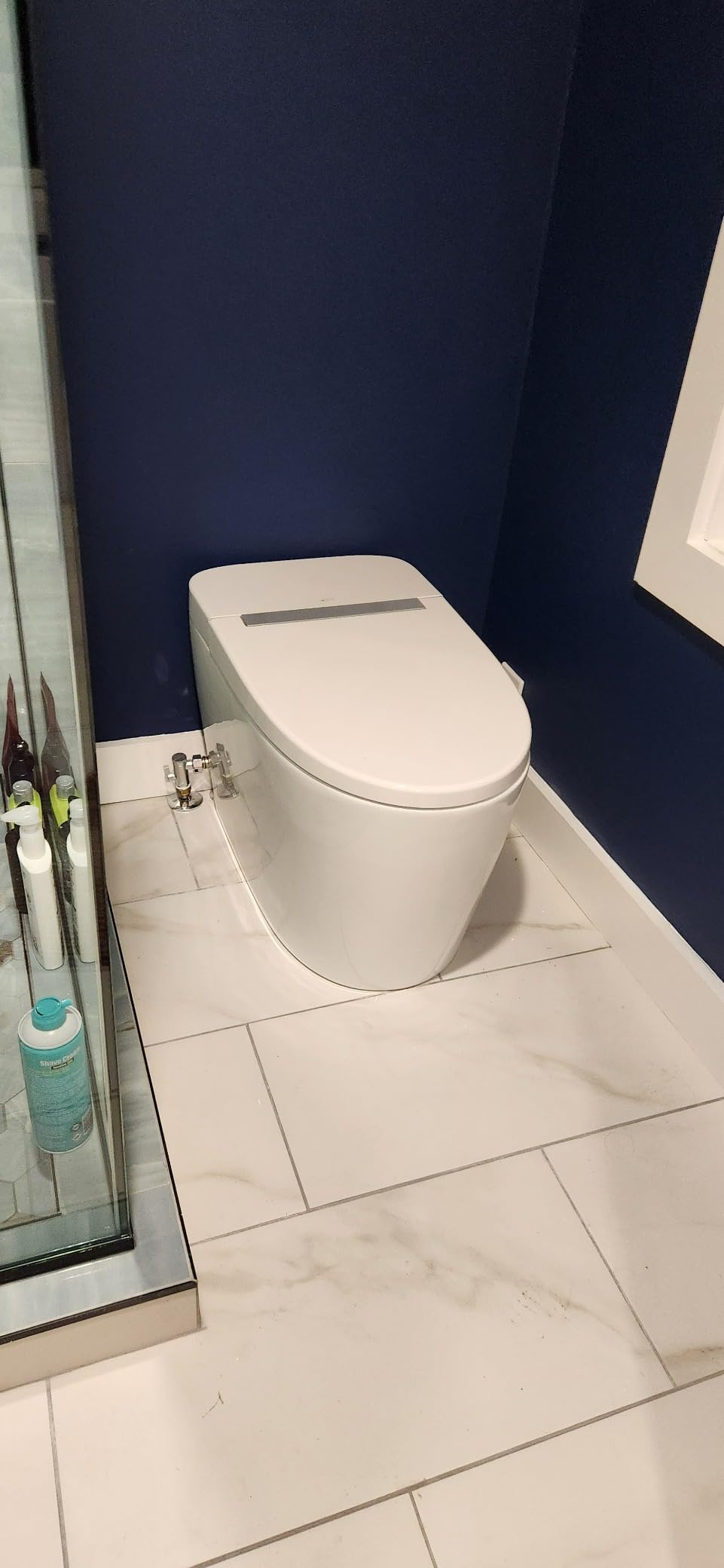LEIVI Smart Toilet with Built-in Heated Seat, Tankless Toilet with Auto Flushing, Adjustable Seat Temp, Flush Remote Control, Elongated customer photo 2