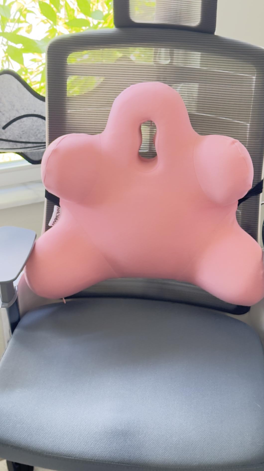 Lumbar Support Pillow for Office Chair, Back Pillow Lumbar Support for Car, Chair, Sofa - Improve Lower Back Pain Relief & Sitting Posture, Memory Foam Back Cushion for Long Sitting (Pink) customer photo 1