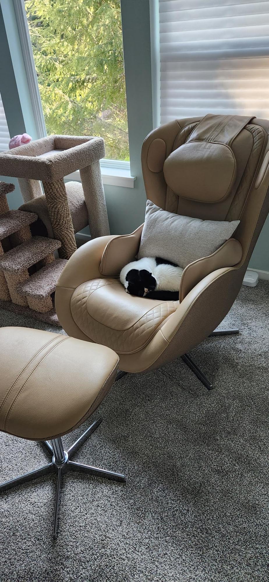 Nouhaus NOU Campo Heated Massage Chair, Full Body Massaging Zero-Gravity Leisure Recliner with Low-Noise 3D Massage and Dual Sound Systems Modern Massage Chairs (Elder White) customer photo 1