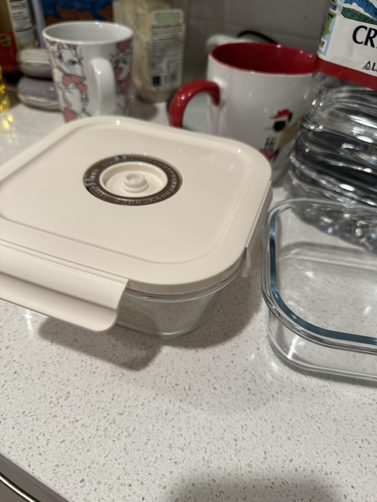 3-Piece Rectangle Glass Vacuum Food Storage Containers Set with Hand Pump & 10 Sealer Bags, Borosilicate Airtight Meal Prep Lids with Date Tracker, Leakproof, Freezer & Microwave Safe [21/35/50 Oz] customer photo 2