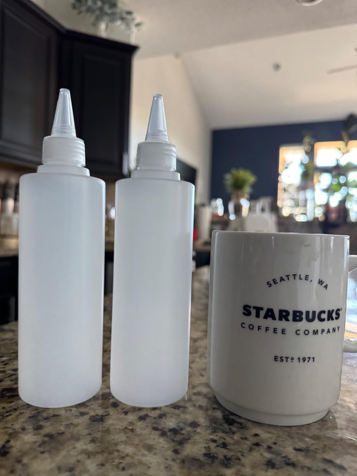 DTDNZKN 2 Pack 10 Oz (300ml) Condiment Squeeze Bottles, Leak Proof Refillable Condiment Container for Kitchen Use | 2 Pack customer photo 1