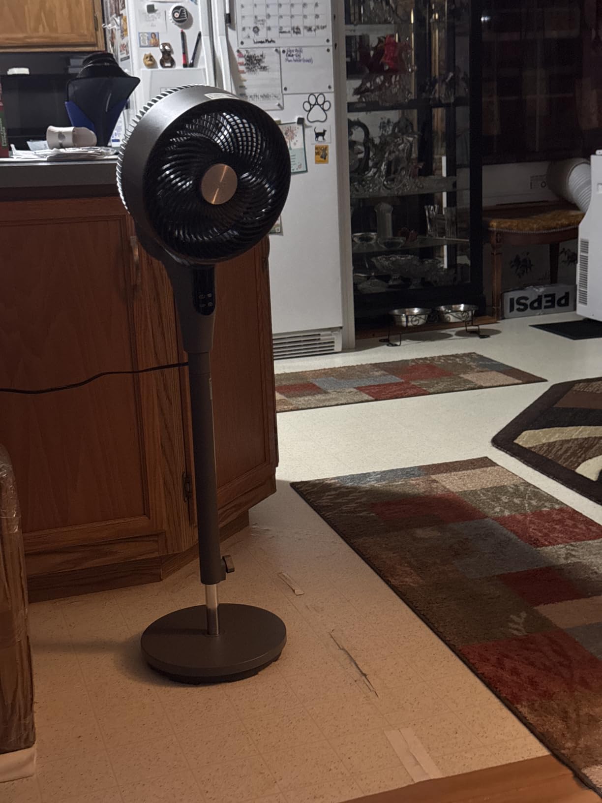 DREO Fan for Bedroom, 2026 Upgraded, 90ft Airflow, 20dB Quiet Fan, 90 Degree Oscillating Standing Fan for Whole Room, DC Motor, 8+H Speeds, 3 Modes, 38-42in Adjustable Height, 8H Timer, 105 Degree Manual Vertical customer photo 1