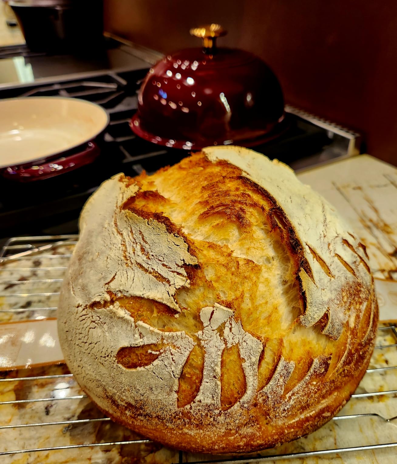 Halo Pro Spiral Mixer - Dough Stand Mixer with Attachments, 7.3 Quart Capacity and 58 Speed Settings - Charcoal Grey customer photo 2