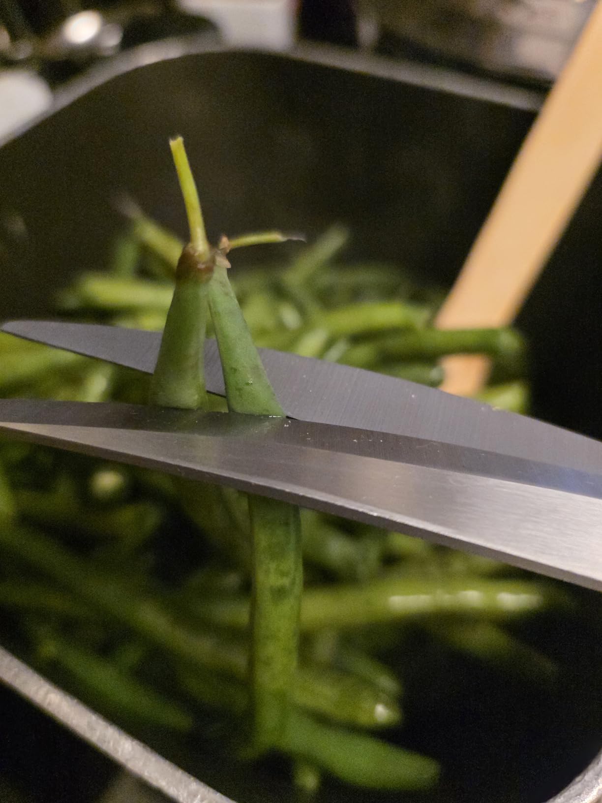 Made in Korea, Korean Barbecue Scissors, Meat, Chicken, Vegetables, High Strength Stainless Steel Grip-Excellent Barbecue Scissors (Korean BBQ Scissors) customer photo 2