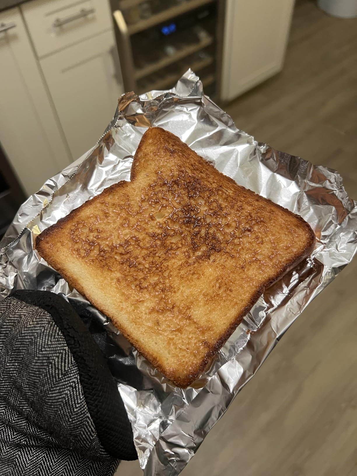 BALMUDA The Toaster Pro | Steam Oven Toaster | Compact Size 14.1