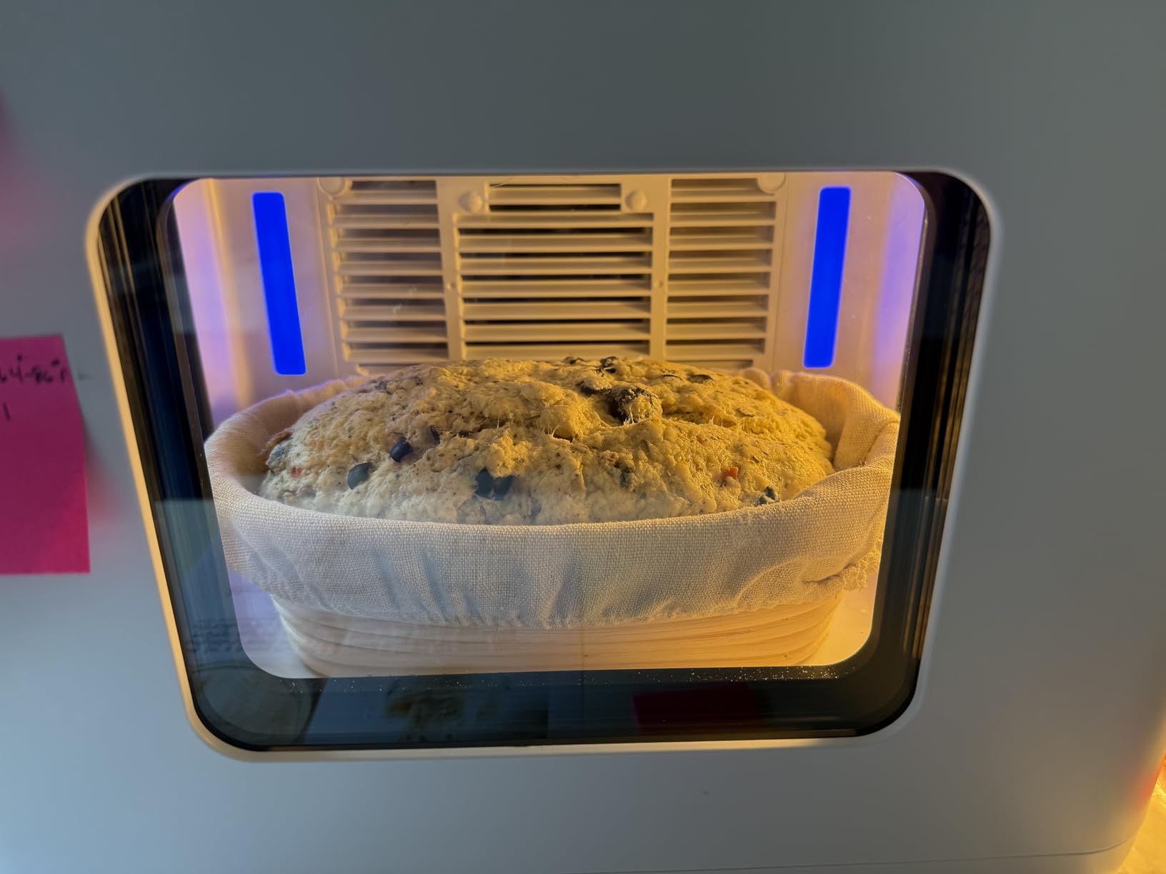 12.8L Smart Yogurt Maker Machine & Fermentation Kit, Kombucha, Kimchi, Natto, tempeh, Sourdough Maker, Temp Control 50-115°F, Timer 1 Hr -30 Day, Post-Ferment Cooling customer photo 1