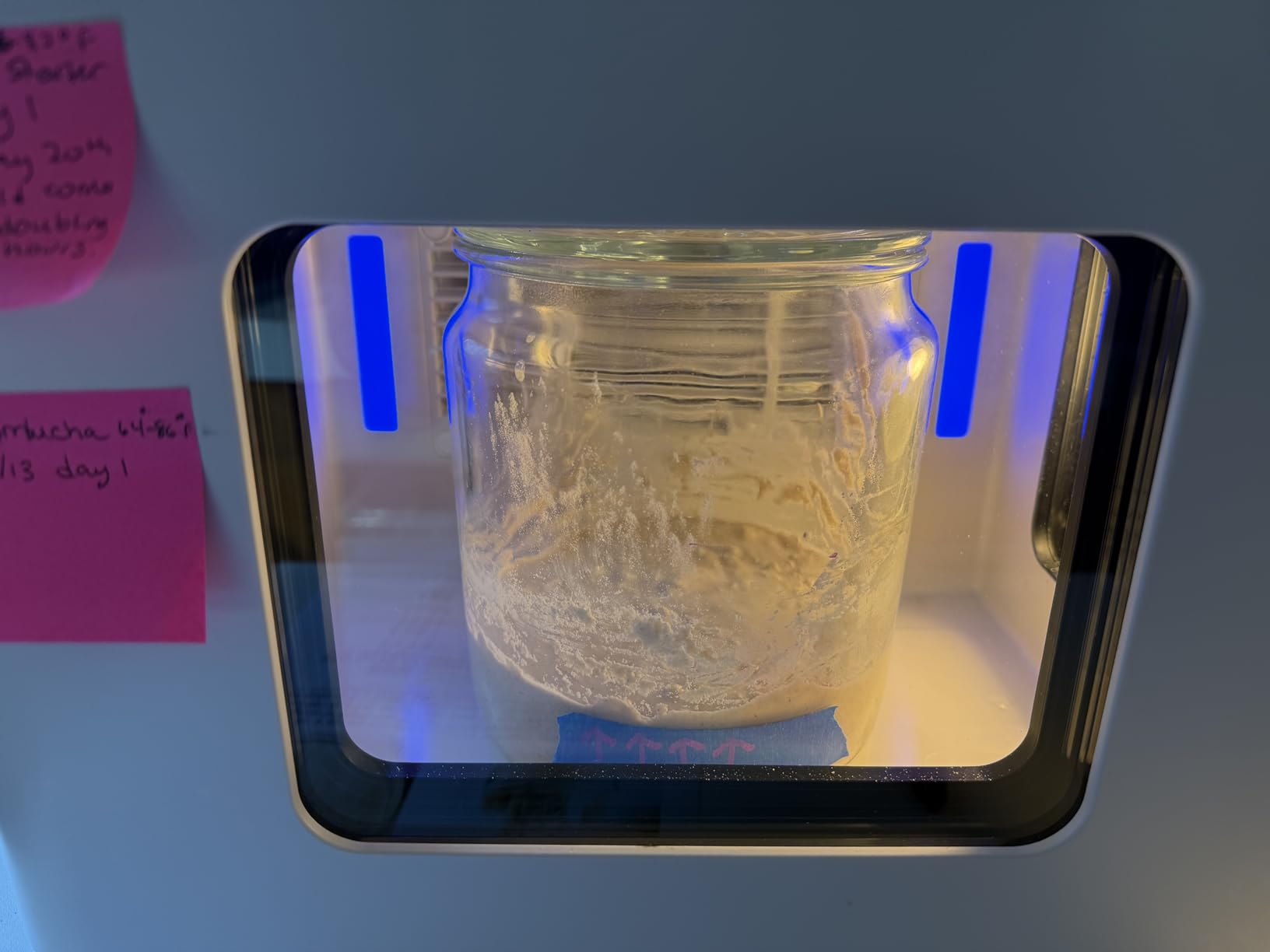 12.8L Smart Yogurt Maker Machine & Fermentation Kit, Kombucha, Kimchi, Natto, tempeh, Sourdough Maker, Temp Control 50-115°F, Timer 1 Hr -30 Day, Post-Ferment Cooling customer photo 2