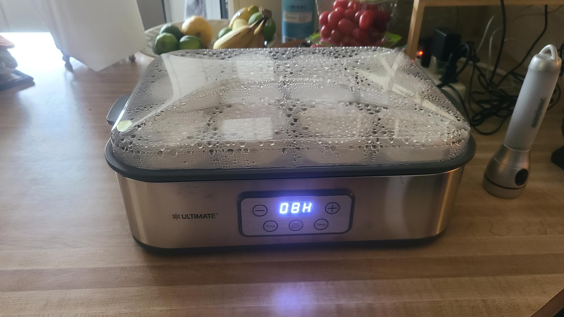 Ultimate Probiotic Yogurt Maker XL with 50% More Capacity, Adjustable Time & Temp Control, Make Trillions of Live Probiotics at Home to Support Gut Health, UNLIMITED LIFETIME WARRANTY (12-Jar Model) customer photo 1