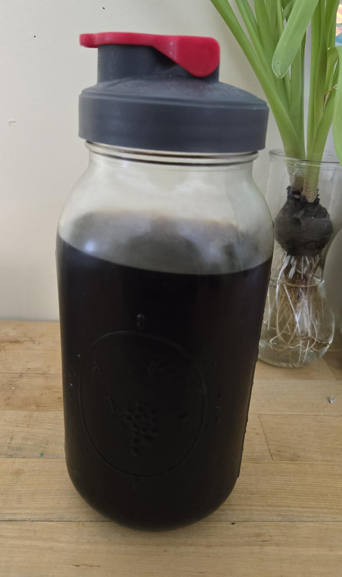 Gya Tea Co Barley Tea Soothes with Warm Relaxation for Mindful Breathing - Korean Barley Tea Offers a Nostalgic Cultural Connection - Caffeine-Free with Natural Ingredients for Authenticity customer photo 1