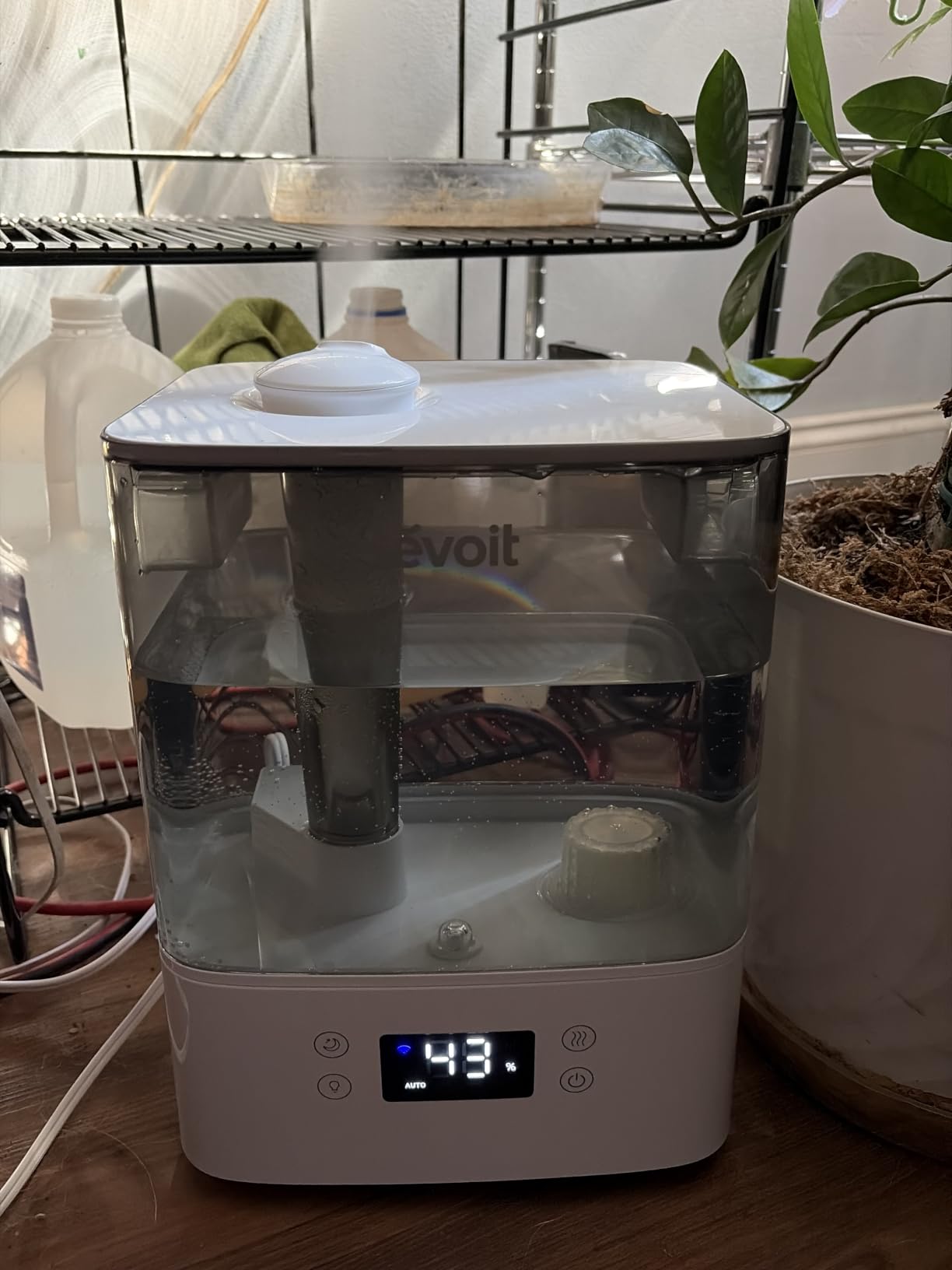 LEVOIT Humidifiers for Bedroom Large Room Home, 6.2L Dishwasher Safe, Cool Mist Humidifier for Baby & Plants, Top Fill Easy to Clean, Quiet 26dB, Smart App & Voice Control, Essential Oil Diffuser customer photo 1