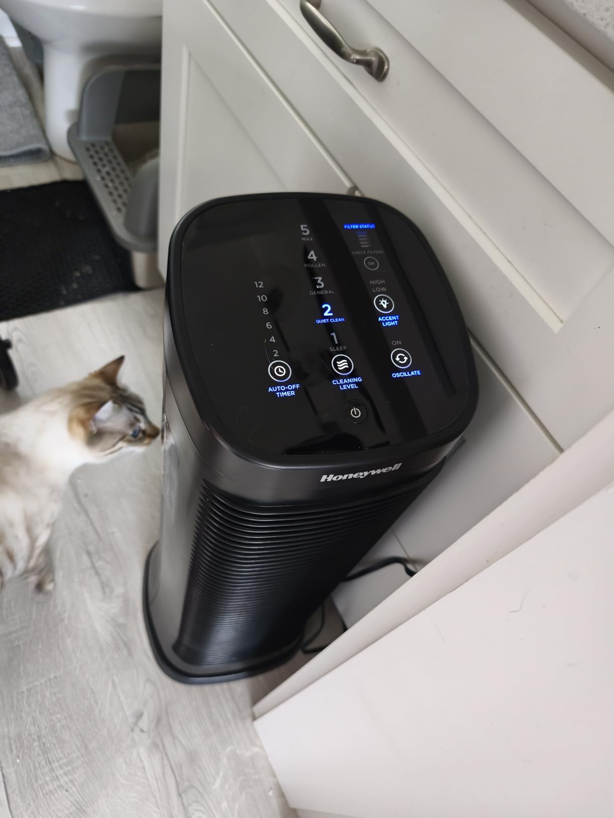Honeywell Air Genius 5 Air Purifier for Large Rooms up to 1200 Ft², Permanent Washable Filters, Reduces Dust, Pollen, Pet Dander, Odors, Smoke, Black, HFD320 customer photo 2