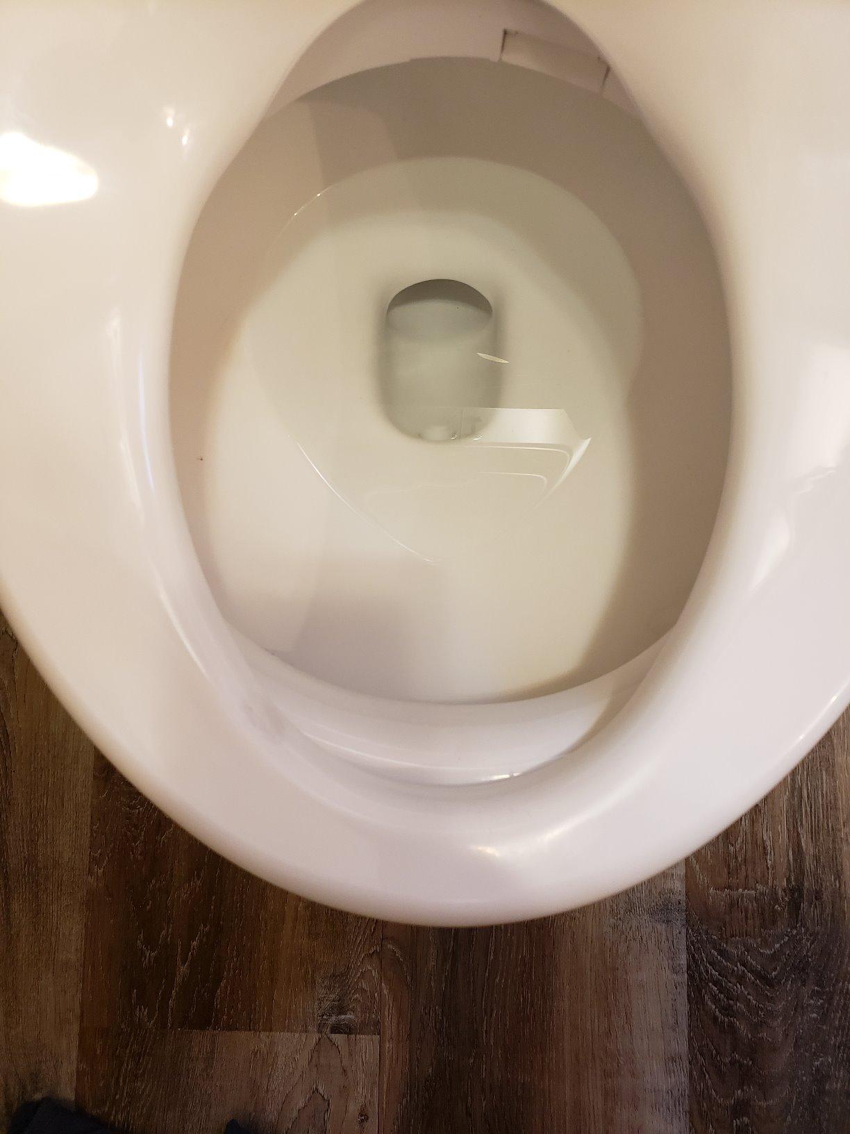 Brondell Bidet Toilet Seat S1400, Smart Toilet Seat, Dual Stainless-Steel, Self-Cleaning Nozzle With Clean Plus Technology, Endless Warm Water Bidet, Warm Air Dryer-Nightlight, Heated Seat, Elongated customer photo 2