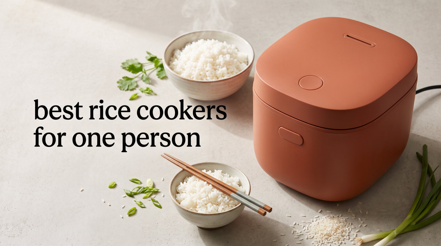 best rice cookers for one person