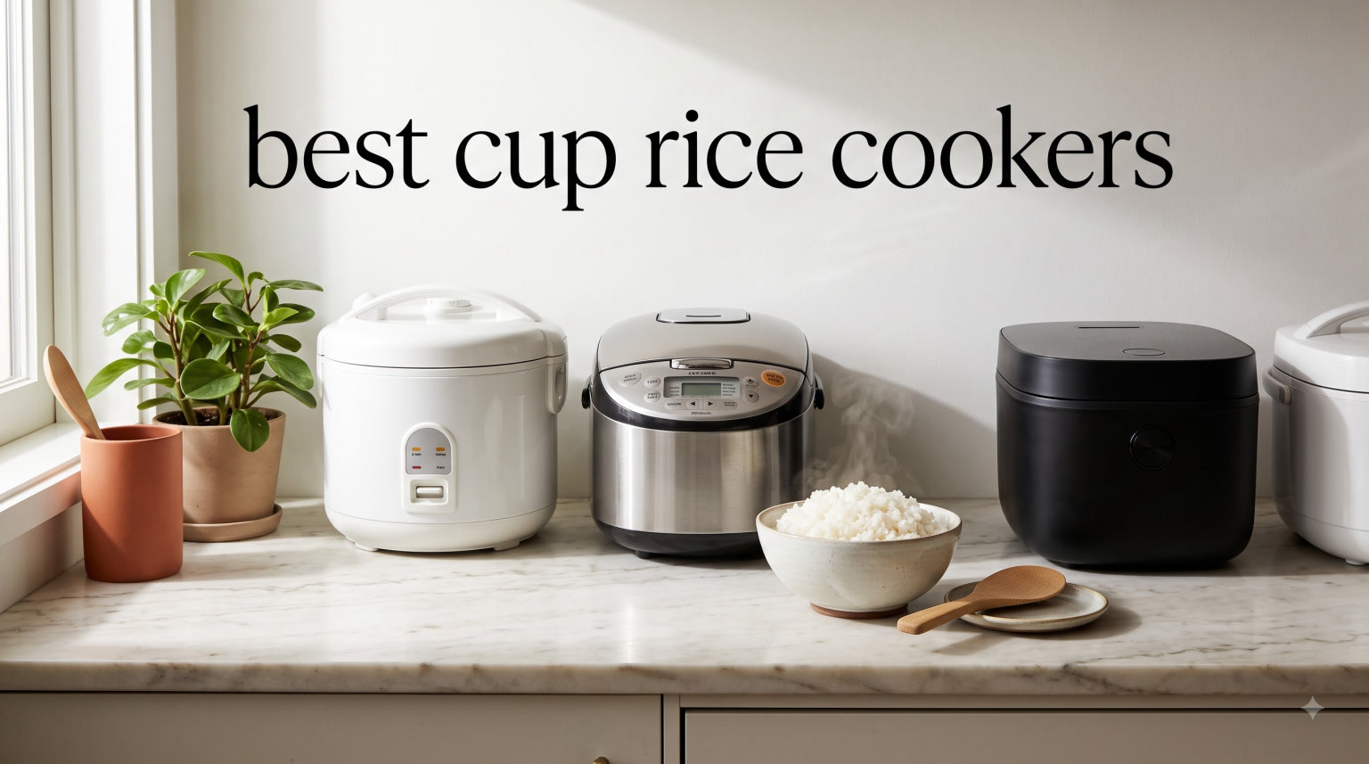 best 10 cup rice cookers