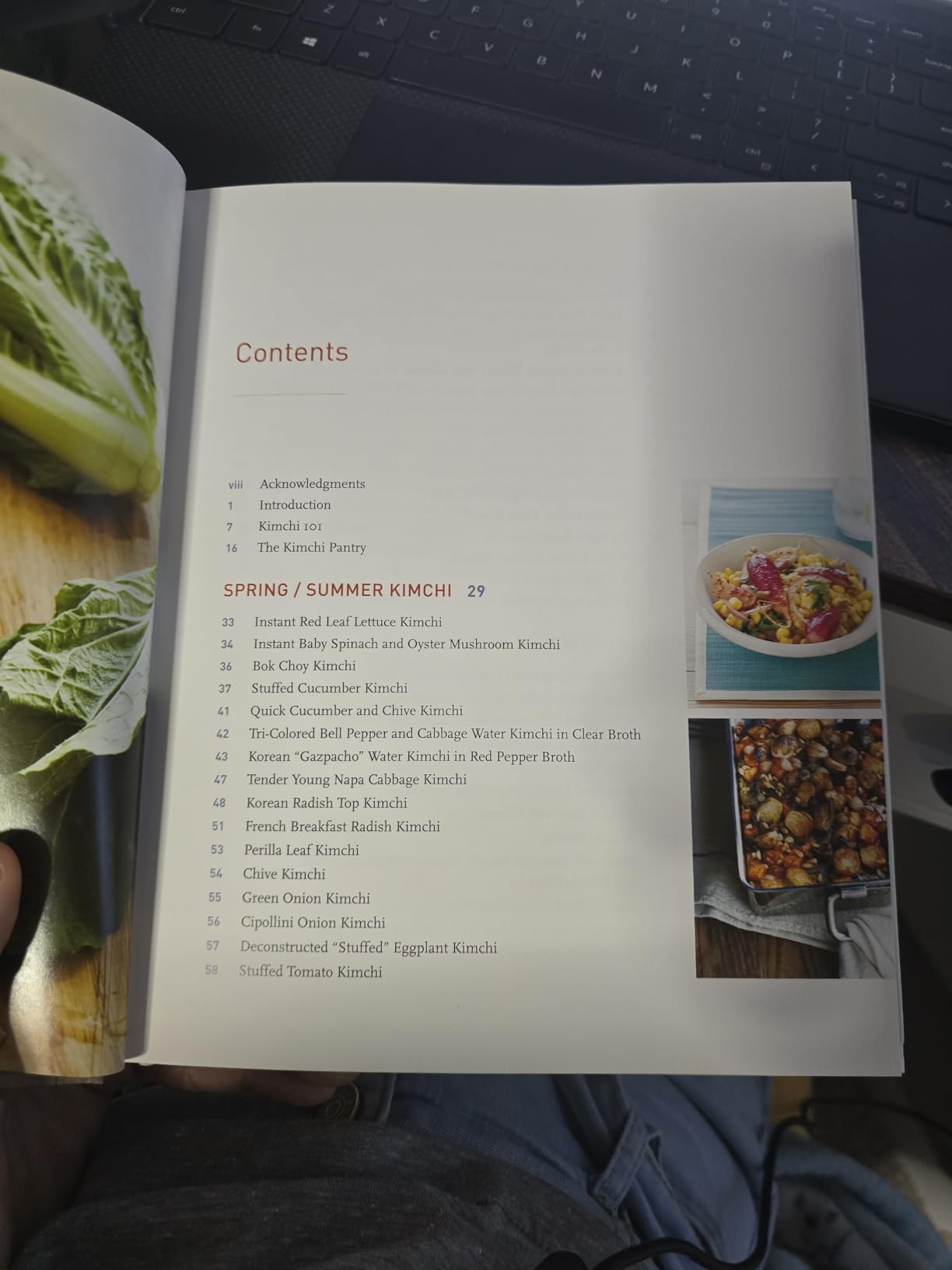 The Kimchi Cookbook: 60 Traditional and Modern Ways to Make and Eat Kimchi customer photo 2