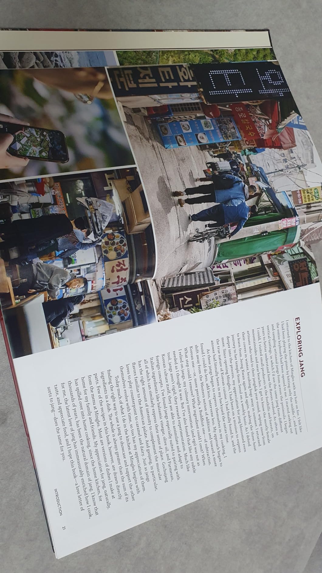 Jang: The Soul of Korean Cooking (More than 60 Recipes Featuring Gochujang, Doenjang, and Ganjang) customer photo 1