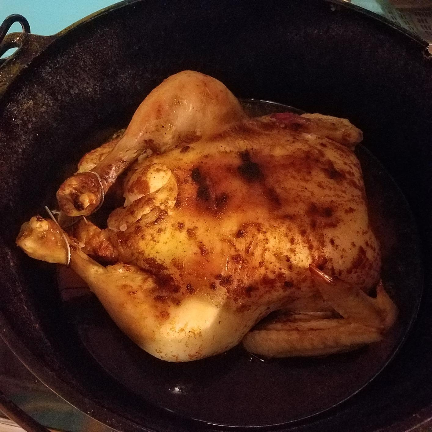 Camp Chef Cast Iron Dutch Oven, Pre-Seasoned, 9.33 qt - Model DO-12 customer photo 2