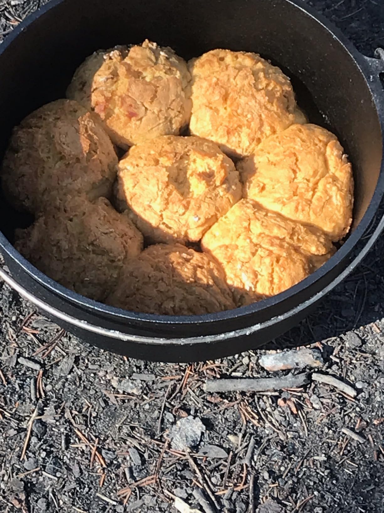 Camp Chef 12 in. Cast Iron Dutch Oven, Pre-Seasoned - Model SDO12 customer photo 2