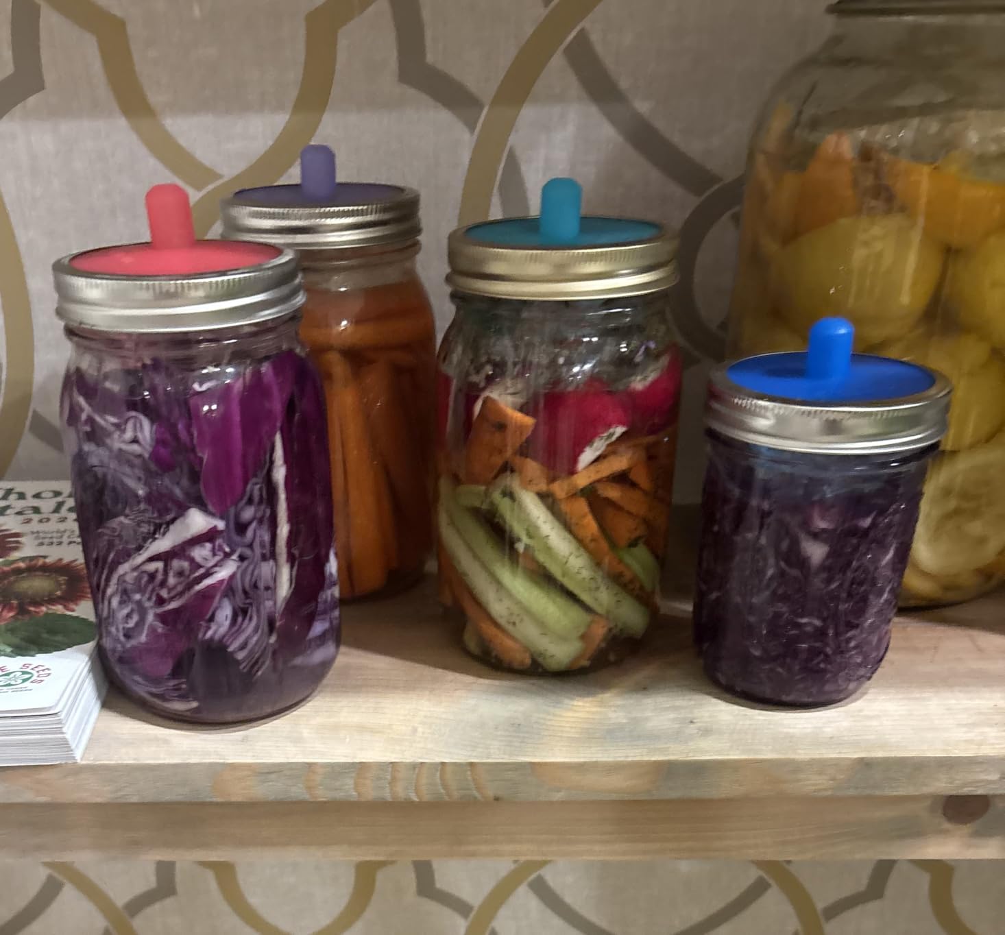 Masontops Pickle Pipes - Airlock Fermentation Lids - Fermentation Kit For Wide Mouth Mason Jar Sauerkraut & Pickle Kit customer photo 1