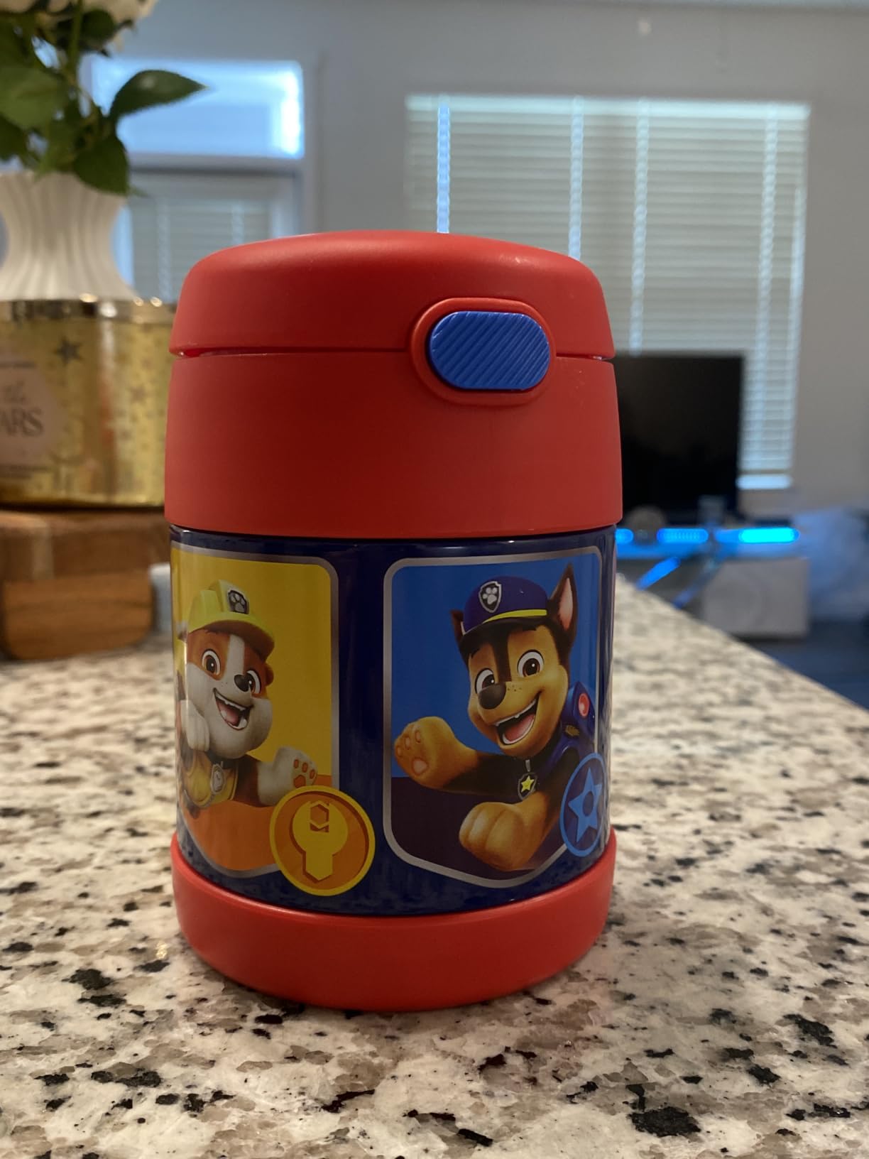 THERMOS FUNTAINER Kids Food Jar with Spoon, 10oz, Gray | Kid-Friendly Stainless Steel Insulated Food Container, Keeps Food Hot or Cold Longer for School & Play, BPA Free customer photo 2