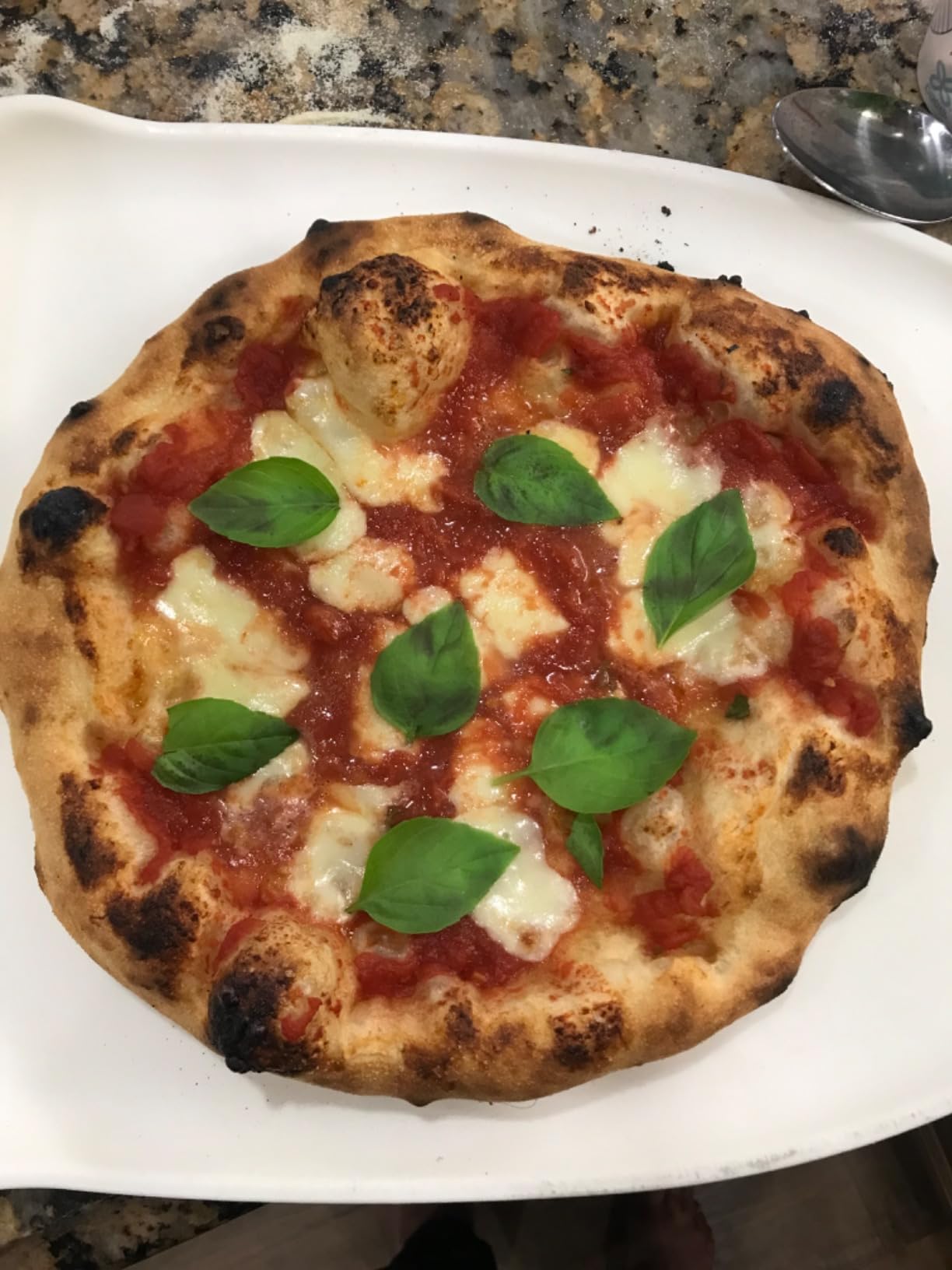Breville Smart Oven Pizzaiolo BPZ820BSS, Brushed Stainless Steel | Craft wood fired, New York-style, thin crust pizzas and more with preset functions in this versatile countertop pizza maker customer photo 2