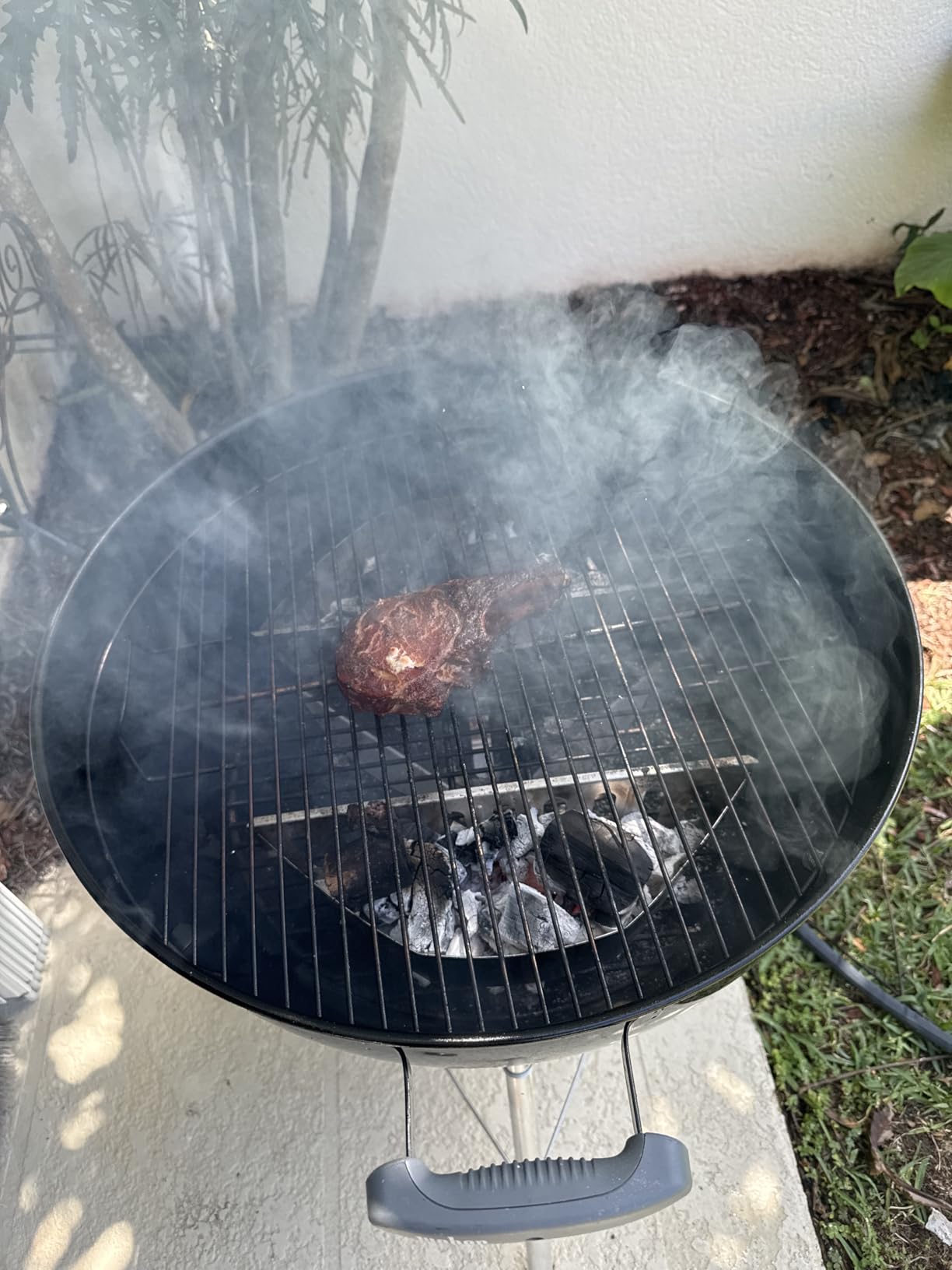8 LB. All Natural Hardwood Lump Charcoal by Mr. Bar-B-Q - Premium Natural Charcoal for Grilling, BBQ, Smoking, Kamado & Kettle Grills - Burns Hotter & Longer - Smoky Flavor, Low Ash & Easy to Light customer photo 1