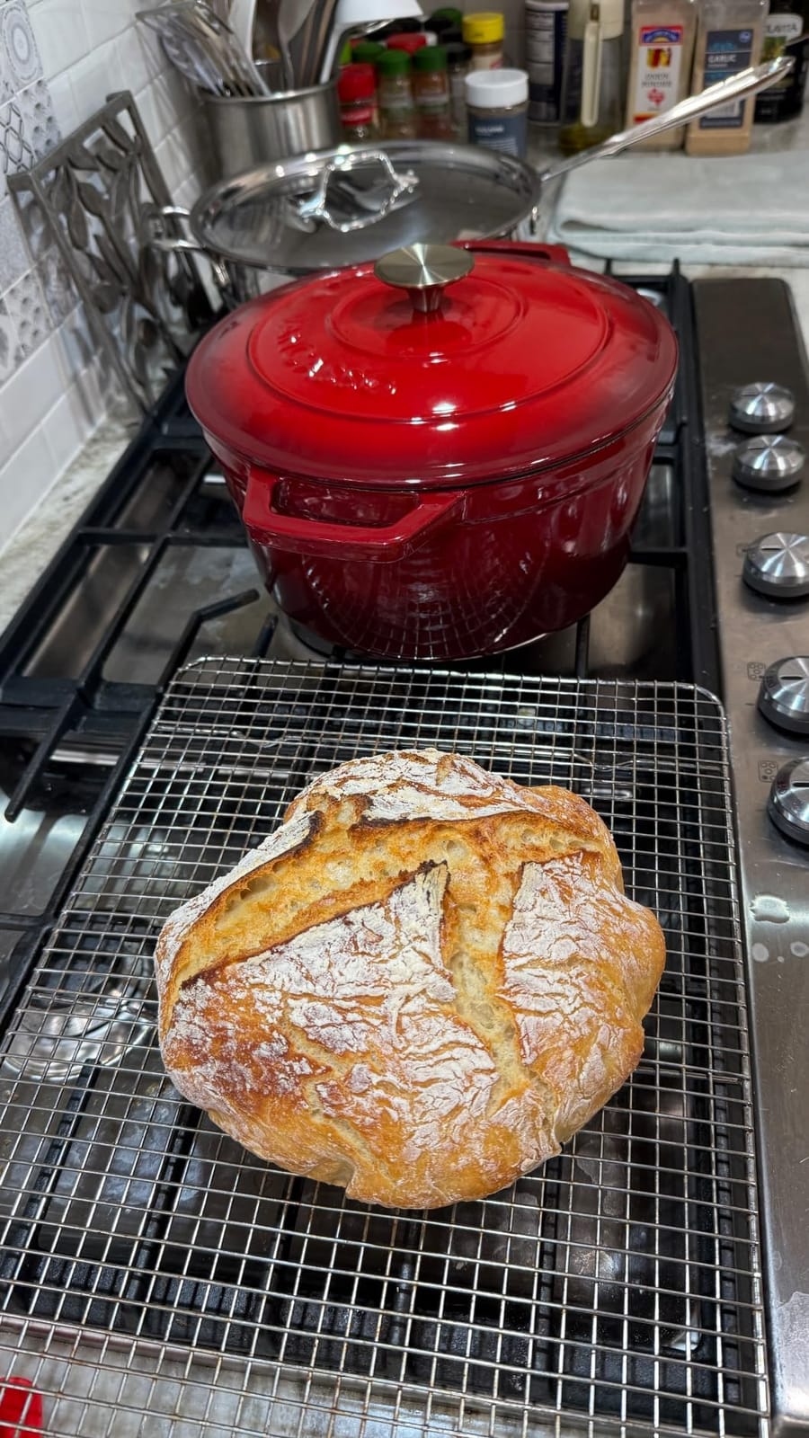 vancasso 2.5 Qt Enameled Cast Iron Dutch Oven with Lid, Blue | Sourdough bread baking, steaming, braising, non-stick enamel, compact design, everyday meals. Small cast iron pot. customer photo 1