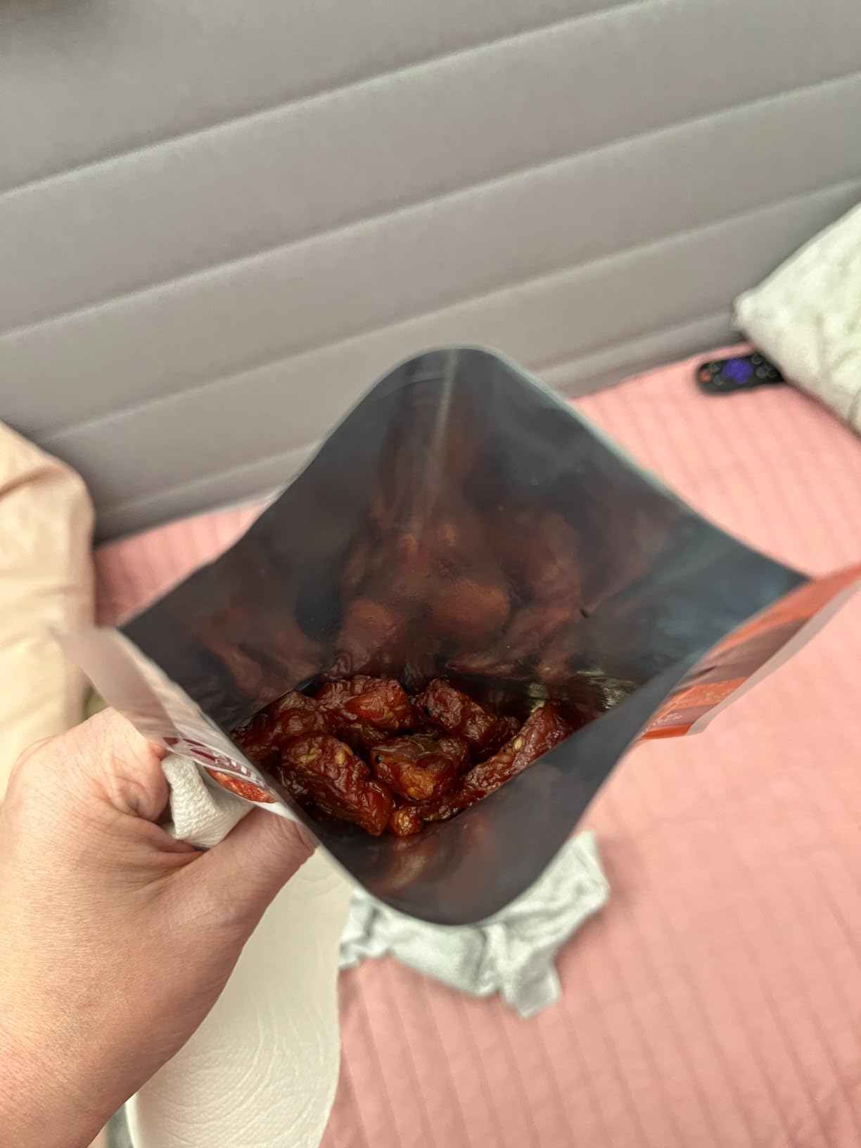 Golden Island Korean BBQ Variety Pack - (15 Pack) 8 Pork Snack Bites and 7 Pork Jerky - Korean Barbecue Protein Snacks - Up to 8g Protein per Serving - Gluten Free customer photo 2