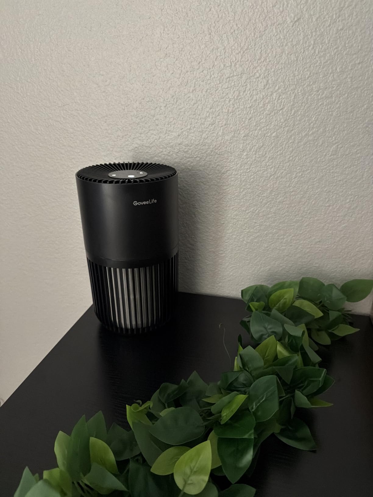 GoveeLife Mini Air Purifier for Bedroom, Smart Filter Air Purifier with App Alexa Control for Pet Hair, Odors, Pollen, HEPA Portable Air Cleaner with 3 Speeds, 2 Modes, Timer, Aroma for Home customer photo 1