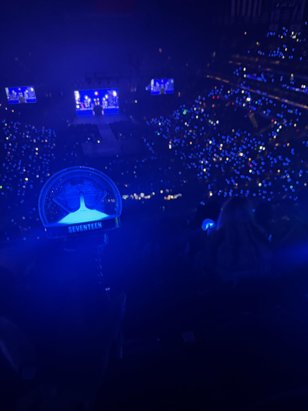 Seventeen Official Light Stick Ver 3 customer photo 2