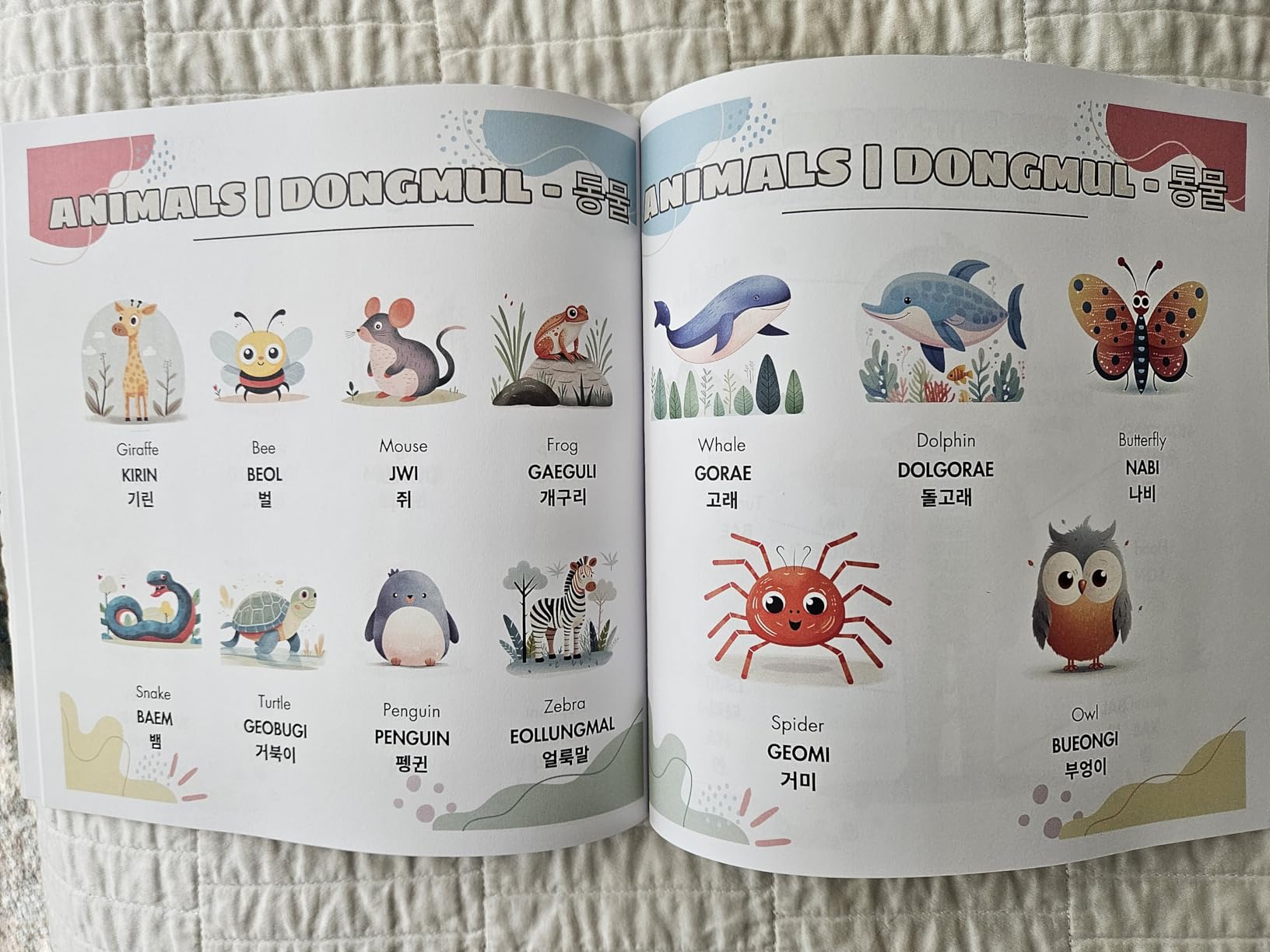 Learn Korean For Kids: Korean-English Bilingual Book - Over 320 Child-Essential Words With Pictures - Introduce Beginner Vocabulary to Babies, Toddlers, Elementary, and Preschoolers! customer photo 1