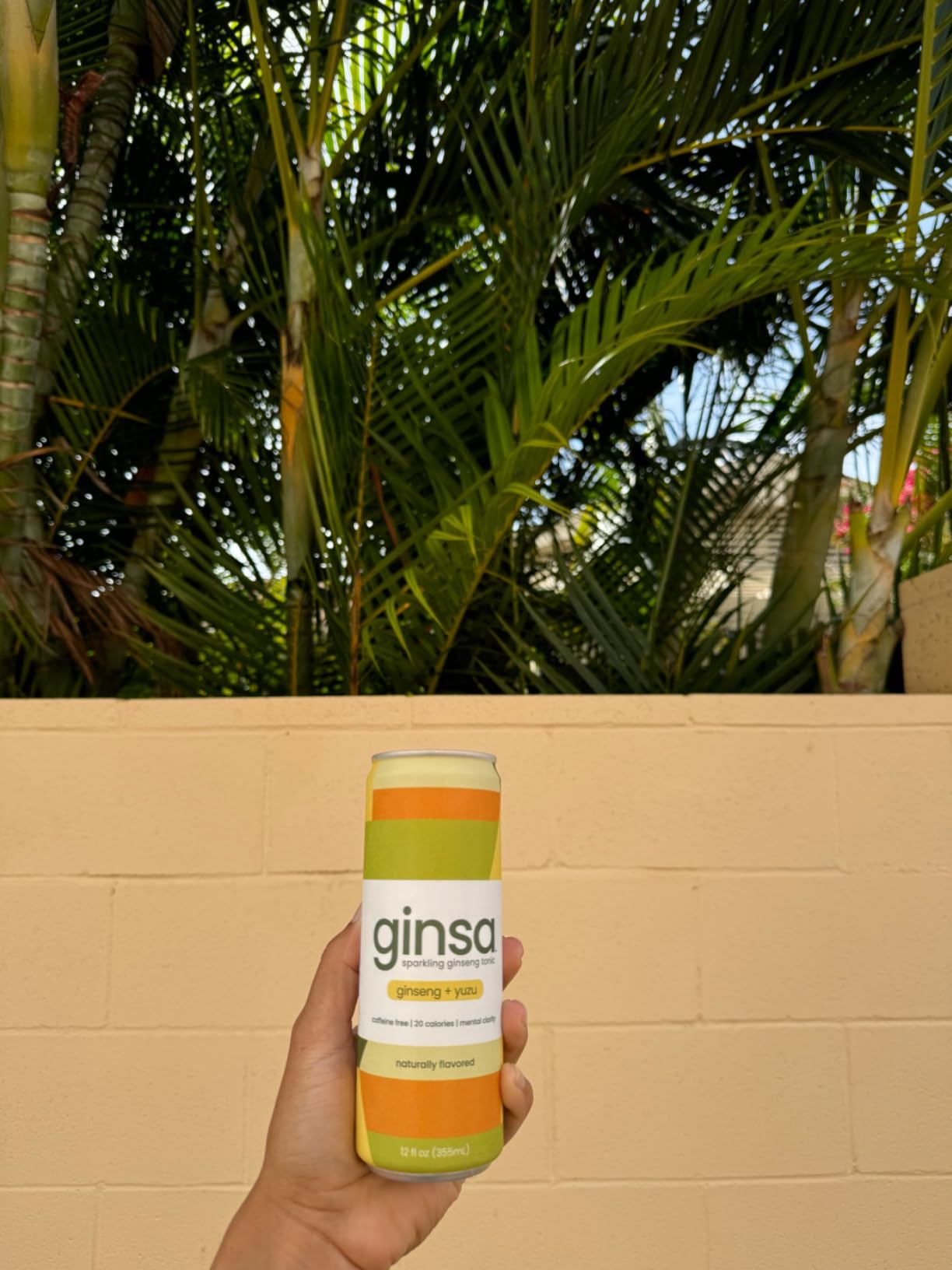 ginsa Sparkling Ginseng Energy Drink with Korean Red Ginseng | Natural Energy Booster | Non-GMO, Supports Focus & Clarity with Pure Ginseng Root, No Caffeine | 12 Pack | 12oz | Ginseng + Yuzu Flavor customer photo 2