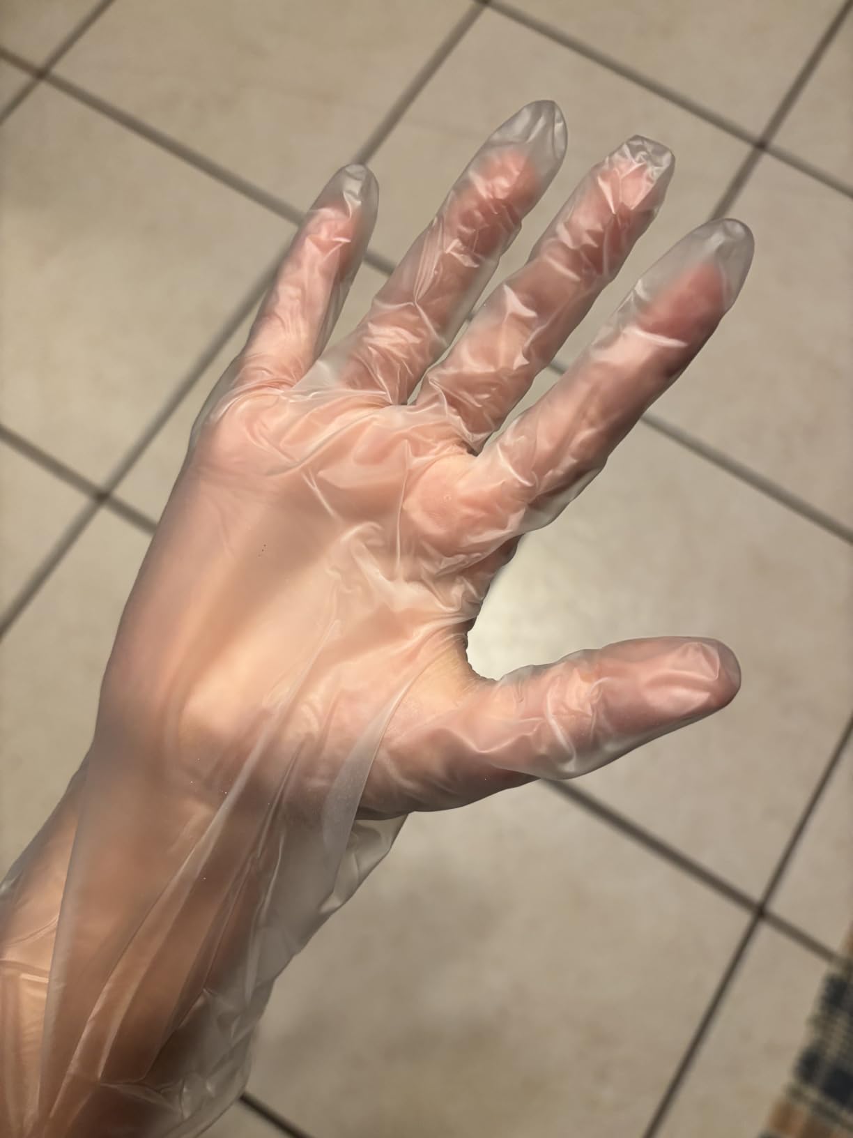 Disposable Vinyl Gloves, Food Safe | Latex-Free Powder-Free Clear Plastic Gloves for Cooking, House Cleaning, Food Prep customer photo 1