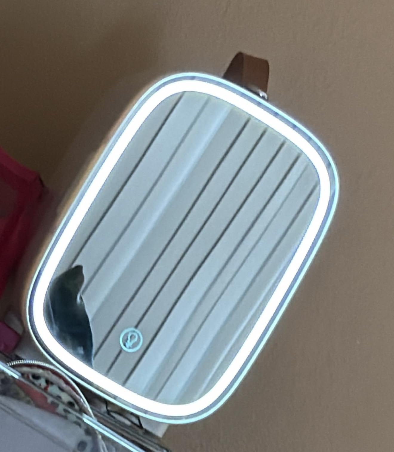 Mini Fridge for Bedroom, 4 Liter/6 Can Skincare Fridge With LED Mirror & Leather Carrying Handle, 12v AC/DC Cooler & Warmer Portable Small Refrigerator for Drinks, Makeup, Dorm, Office and Car customer photo 2
