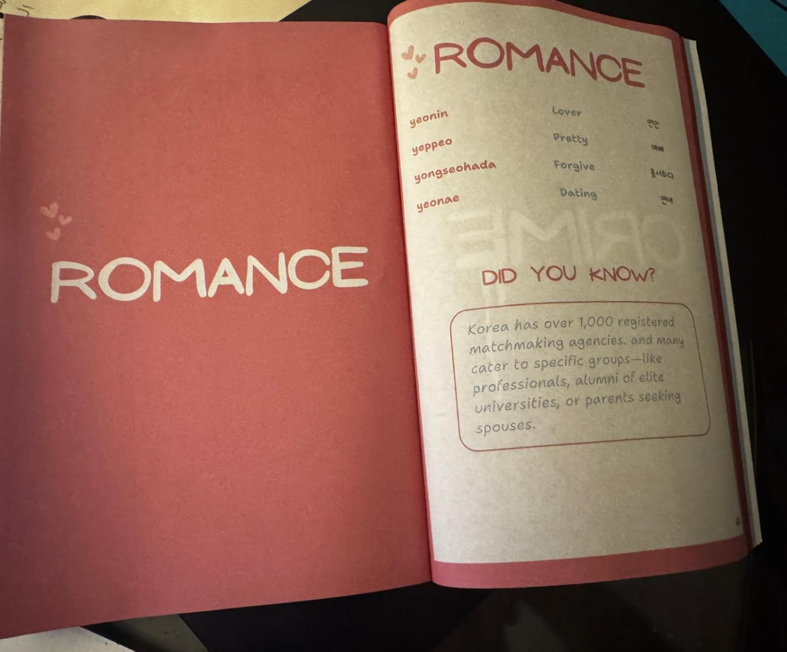 Korean Drama Vocabulary Guide: 300+ Essential Korean Words & Phrases with Romanized Pronunciation - Learn Korean from Your Favorite K-Dramas customer photo 2