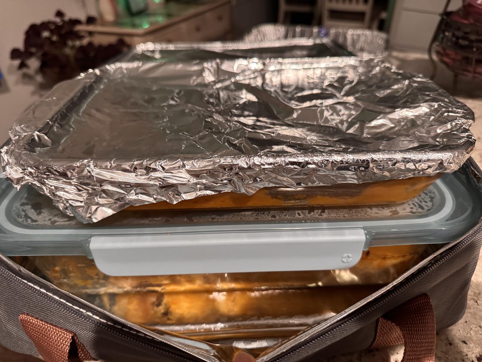 Expandable Casserole Carrier Bag - Double Decker Food Bag, Insulated Casserole Carrier for Hot or Cold Food, Lasagna Holder Tote for Picnics,Beaches,Traveling or Gifts customer photo 2