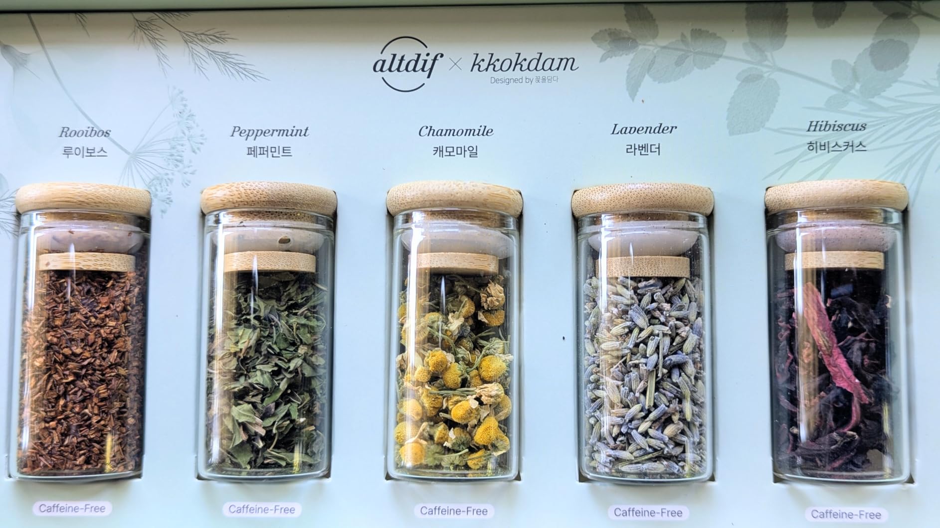 KKOKDAM Lovely Forest Herb Tea Gift Set - 5 Caffeine-Free Loose Leaf Teas in Glass Jars (Rooibos, Peppermint, Chamomile, Lavender, Hibiscus) - Korean Tea Gift Box 0.88oz customer photo 1